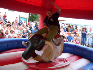 RODEO BULLE ausleihen, BULLRIDING anmieten, BULLEN REITEN