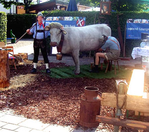 Kuh-Wettmelken, Melkkuh mieten  mit Elsa, ausgestattet mit Bewegungsmotorik und Melkeuter, Melkkuh mieten